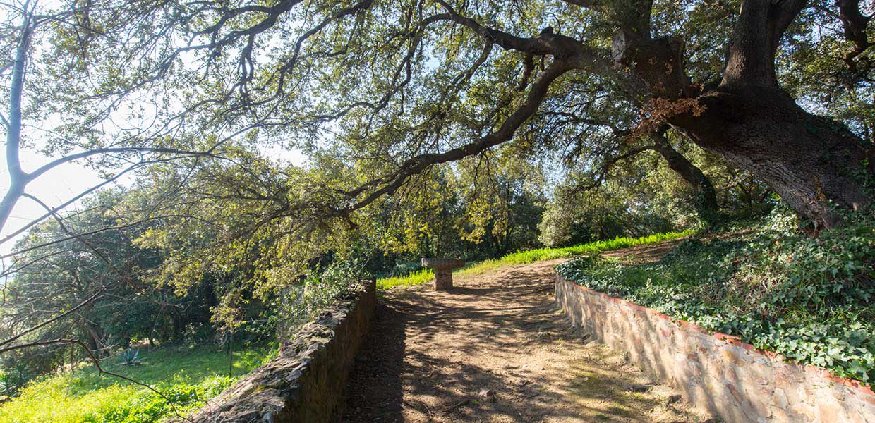 Pineda Mar ruta origens