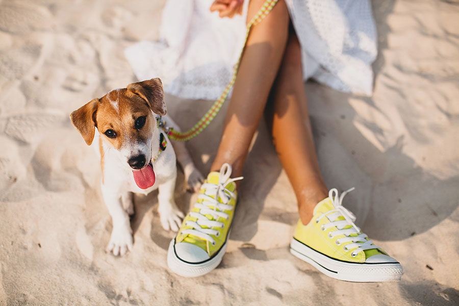 Plage pour les chiens! Toute l’année !